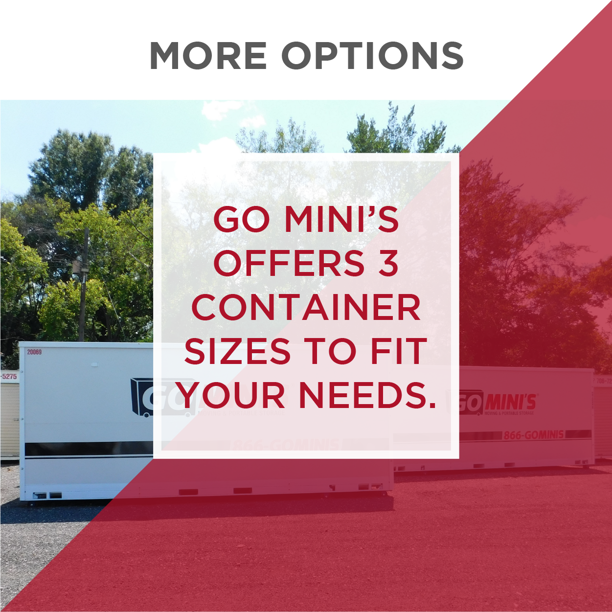 Go Minis Container Sizes 2022-31